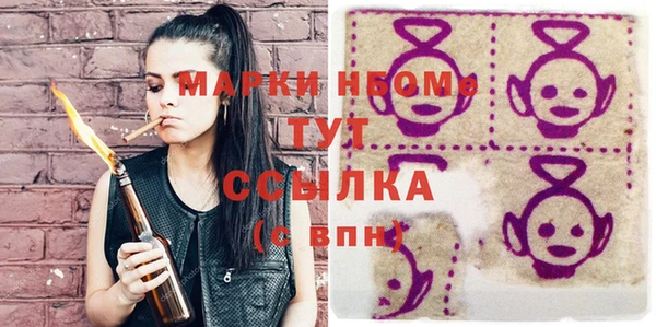 стаф Алзамай