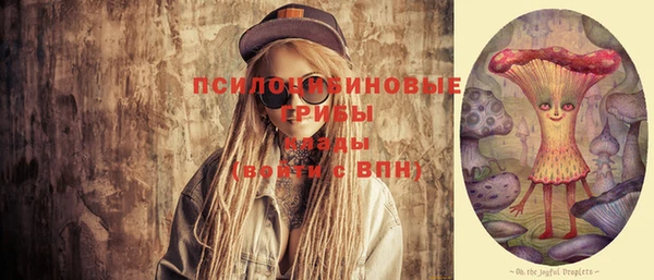 стаф Алзамай