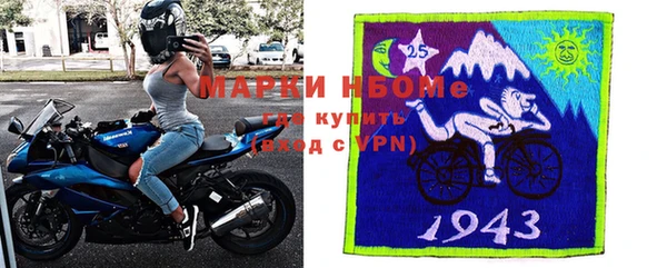 стаф Алзамай