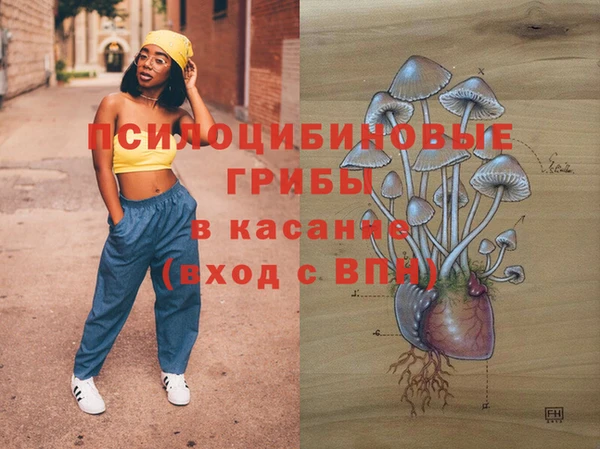 стаф Алзамай