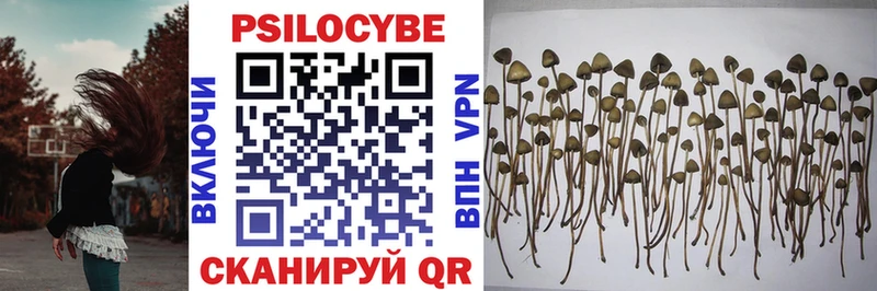 Галлюциногенные грибы Psilocybe  Купить  Краснотурьинск 