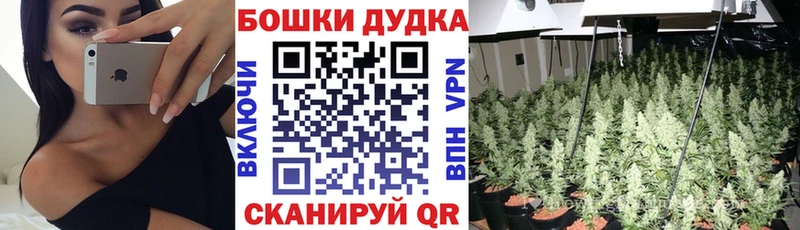 Бошки Шишки план  Купить где  Краснотурьинск 